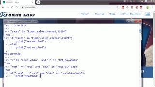 Python Activity 6