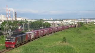 JR貨物2094レ釧路貨物駅発車 牽引DF200-11号機+乳タン飛び4連チャン！根室本線