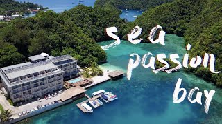 『形象短片』palau sea passion bay 帛琉 百悅酒店 百悅灣 旅遊泡泡