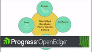 Designing an OpenEdge Database for Performance