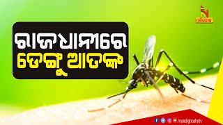 ଭୁବନେଶ୍ବରରେ ଡେଙ୍ଗୁ ଆତଙ୍କ । ଦିନକୁ ଦିନ ବଢ଼ୁଛି ରୋଗୀଙ୍କ ସଂଖ୍ୟା | NandighoshaTV