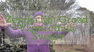 Zemlja Kot Grozd Vzporednih Svetov