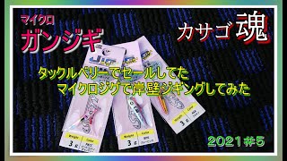 【ロックフィッシュ】セールのマイクロジグでガンジギしてきた★【岸壁ジギング】◇メタルジグ