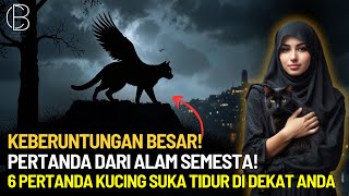 LUAR BIASA !!! INILAH 6 PERTANDA KUCING SUKA TIDUR DI DEKAT KITA