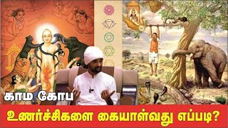 சுத்த சன்மார்க்க மருந்து | வள்ளலார்  | ISRF | SATHYA DHARSHAN