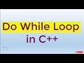 Loops | Do while Loop with examples in Urdu/Hindi