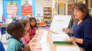 Teacher Modeling Series: Guided Reading (LLI)
