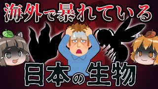 【ゆっくり解説】海外で暴れている日本の生き物8選【逆特定外来生物？】