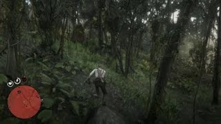 [RDR2]　グアーマでランダムイベント2