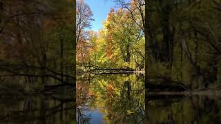 beaver River kayaking 秋叶之静美