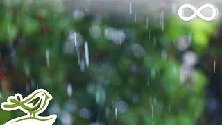 Relaxing Music & Soft Rain Sounds - Peaceful Piano Music for Sleep & Relaxation