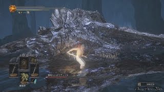 DARK SOULS 3 THE RINGED CITY - #7 ボス・闇喰らいのミディール/BOSS Darkeater Midir（NO DAMAGE NG+7）