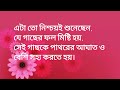 মানুষের মূল্য কখন বেড়ে যায় জানেন... motivational quotes in bangla motivational