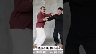 八卦掌轉不停 #形意拳 #太極拳 #中国武术 #氣功 #八卦掌 #baguazhang #martialarts #xingyi #kungfu