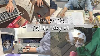 [대학원생vlog] 대학원생의 일상 브이로그ㅣ공부, 일, 유튜버 쓰리잡이 사는 법ㅣ학과행사,회의,업무,공부