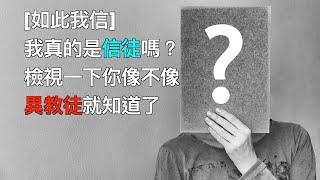 [如此我信]我真的是信徒嗎？檢視一下你像不像異教徒就知道了（少量和諧）