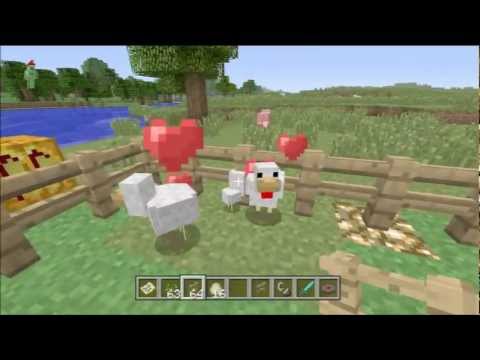 Minecraft Xbox 360 - Chicken Farming Breeding (Tutorial Quick Tip) Minecraft Xbox 360 - Chicken Farming Breeding (Tutorial Quick Tip)