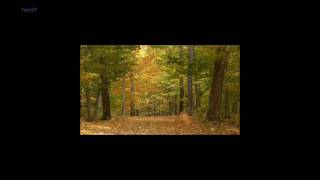 {Relax} Nocturne - The Gnome - healing classic Celtic spiritual {extended Long}