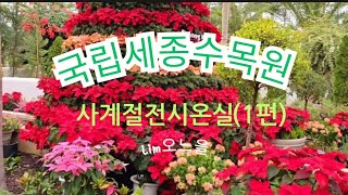 (1편)국립세종수목원🌴🌵🪴사계절전시온실