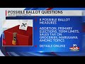 What ballot questions could South Dakotans vote on in 2024?