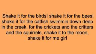 Luke Bryan- Shake It For Me (Lyrics)