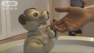 ソニー犬型ロボット「aibo」　新型がニューヨークに(18/08/25)