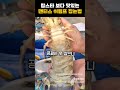 랍스타보다 맛있는 맨티스 쉬림프 잡는법 웃긴영상 웃긴동물영상