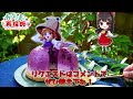 紫のグラデーションがキレイ🍇諏訪子さまのブルーベリーレアチーズケーキ🍇【料理】【ゆっくり実況】ドレスケーキシリーズ第37弾