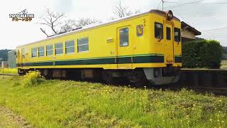 千葉県 いすみ鉄道！新田野駅の菜の花が見頃に向かってます！ドローン空撮！