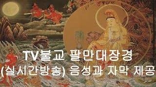 TV불교 팔만대장경 - 기세인본경 전체 + 법화경 일부