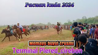 Pacuan kuda memayu Buyut trusmi 2024. terminal plered_cirebon