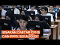 Seleksi CPNS dan PPPK 2023 Dibuka Bersamaan, Bisakah Daftar Dua-duanya?