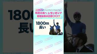 チャンピオンズカップGⅠ トレセン直撃取材！        #競馬 #チャンピオンズカップ #レモンポップ #坂井瑠星 #うまんちゅ