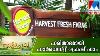 Wide variety farming in harvest fresh farm - Nattupacha | Manorama News