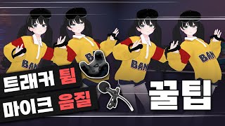 [VRChat] 궁금하신 분들이 많다길래 모아봤습니다. - 트래커 안튀는 세팅, 마이크 세팅