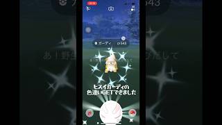 【ポケモンGO】ヒスイガーディの色違い狙ってタスクを消化していたら…#ポケモンgo #shorts #ヒスイガーディ#色違いポケモン