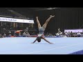 nartey brady  floor exercise 2023 elite team cup