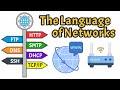 Network Protocols Explained: Networking Basics