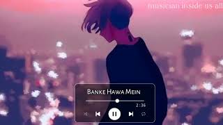 banke hawa mein (slowed + reverb) || banke hawa mein lyrics || Bollywood songs || #songs