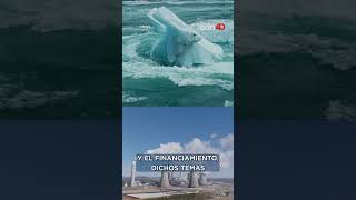 Un llamado al mundo: ¿Qué es la Cop29 y en qué consiste?