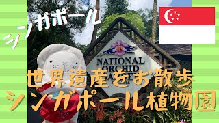 【シンガポール】世界遺産をお散歩　シンガポール植物園