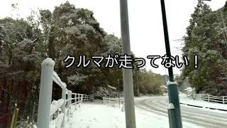 ２０２１年１月８日　雪です！