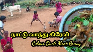 நாட்டு #வாத்துகிரேவி l #vaathu gravy in tamil l #village samayal #vaatthu