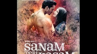Public Review of the Film 'Sanam Teri Kasam'
