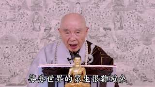 淨土大經科註 （第四回）447（粵語配音）｜淨空老和尚主講