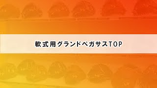 軟式グランドペガサスTOP　商品紹介