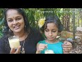 pottuvellari juice kakkarikka juice pazha vellari juice പൊട്ടുവെള്ളരി ജ്യൂസ്‌ ep 35