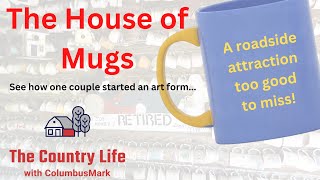 The House Of Mugs Is Unbelievable!