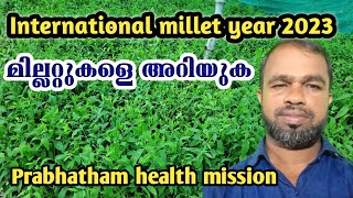 International millet year 2023 | What are millets? | എന്താണ് മില്ലറ്റുകൾ | Prabhatham health mission