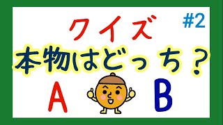 【クイズ】本物はどっち②？👀✨